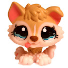 Littlest Pet Shop Large Playset Husky (#1013) Pet