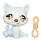 Littlest Pet Shop Singles Husky (#1046) Pet