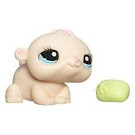 Littlest Pet Shop Singles Hamster (#1057) Pet