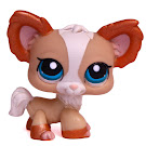 Littlest Pet Shop Special Generation 3 Pets Pets