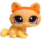 Littlest Pet Shop Dioramas Generation 3 Pets Pets