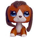 Littlest Pet Shop Beagle Generation 3 Pets Pets