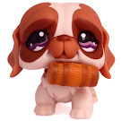 Littlest Pet Shop Multi Pack St. Bernard (#1118) Pet