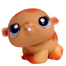 Littlest Pet Shop Gift Set Hamster (#1198) Pet