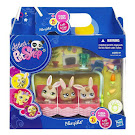 Littlest Pet Shop Petriplets Generation 3 Pets Pets