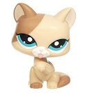 Littlest Pet Shop Multi Pack Cat (#1363) Pet