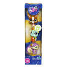 Littlest Pet Shop Tubes Squirrel (#1567) Pet