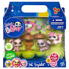 Littlest Pet Shop Petriplets Squirrel (#1882) Pet
