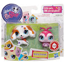 Littlest Pet Shop Pet Pairs Spaniel (#2688) Pet