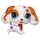 Littlest Pet Shop Pet Pairs Spaniel (#2688) Pet