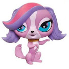 Littlest Pet Shop Small Playset Zoe Trent (#2701) Pet