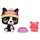 Littlest Pet Shop Messiest Pets Generation 3 Pets Pets