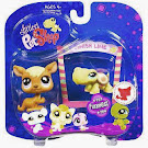 Littlest Pet Shop Pet Pairs Kangaroo (#983) Pet