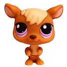 Littlest Pet Shop Pet Pairs Kangaroo (#983) Pet