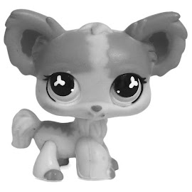 LPS Chihuahua Longhair Pets